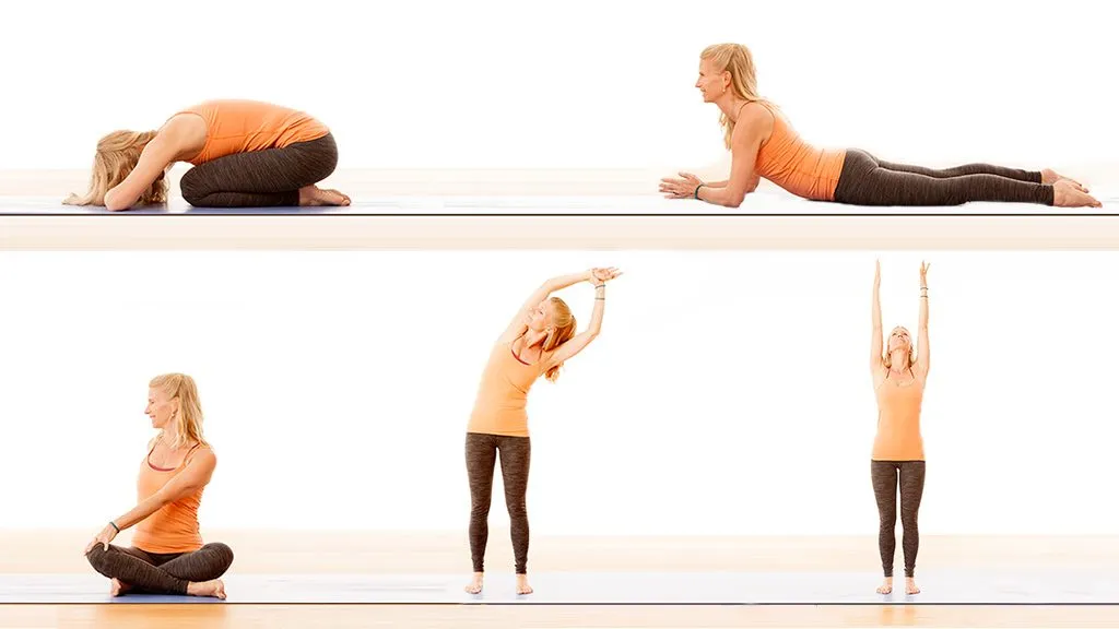 Arm Supported Yoga Poses